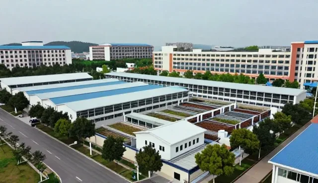 医疗行业职能转型中的关键场景与实践路径